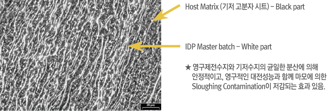 IDP master batch 02